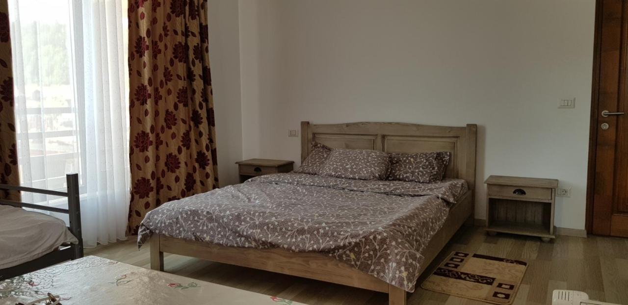 Autovilas Borşa Dış mekan fotoğraf